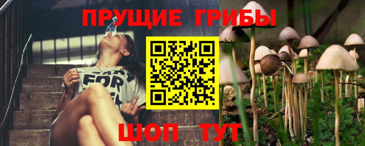 Галлюциногенные грибы GOLDEN TEACHER Красногорск